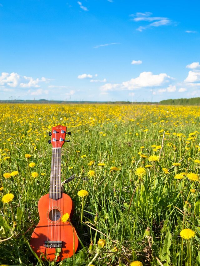 Top 10 Ukulele Podcasts for Ukulele Learners On Spotify