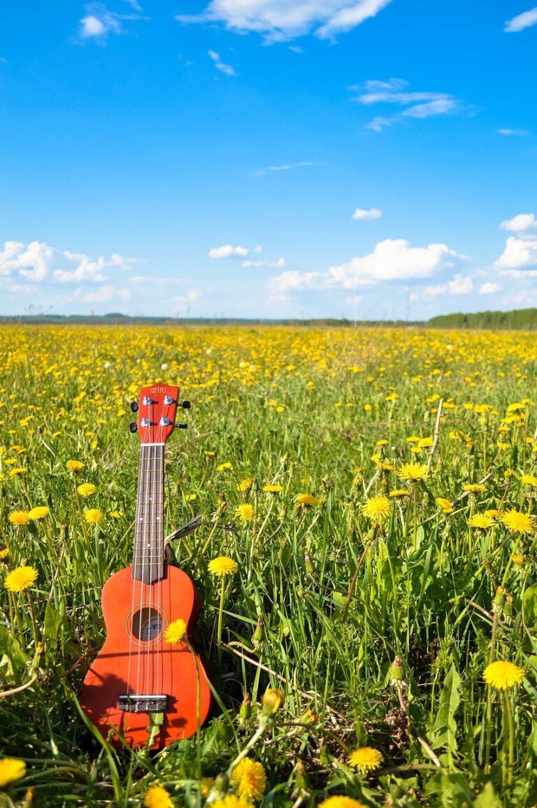 Top 10 Best Ukulele Podcasts for Ukulele Learners On Spotify- How to Play Ukulele in 10 Days!