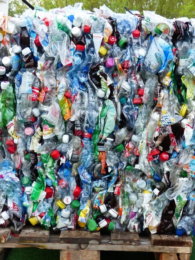 10 Best Recycling Podcast for Eco-Conscious Living