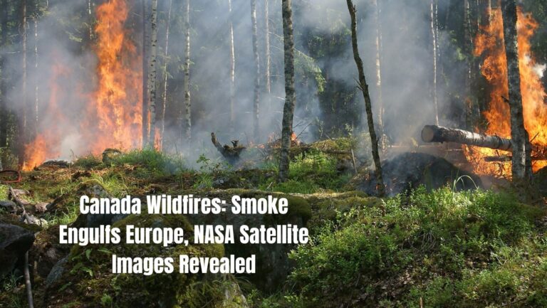 Canada Faces Its Worst Wildfire| Listen Podcast on Canadafire