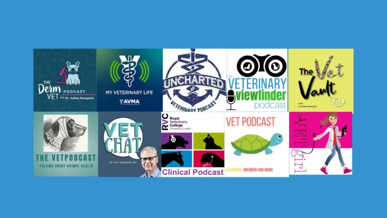 Top 10 Best Veterinary Podcasts On Spotify Podcasts for Vets & Animal Lovers